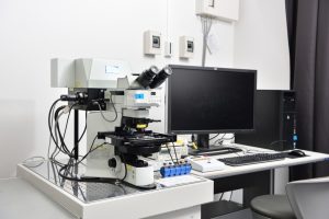 共焦点レーザ走査型顕微鏡 FV1200